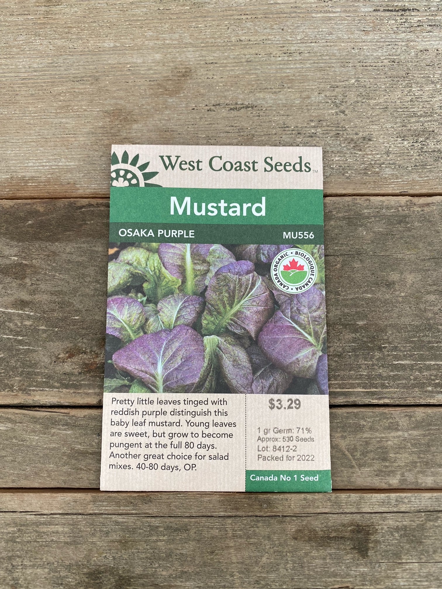 Mustard Seeds Osaka Purple Greenland Garden Centre