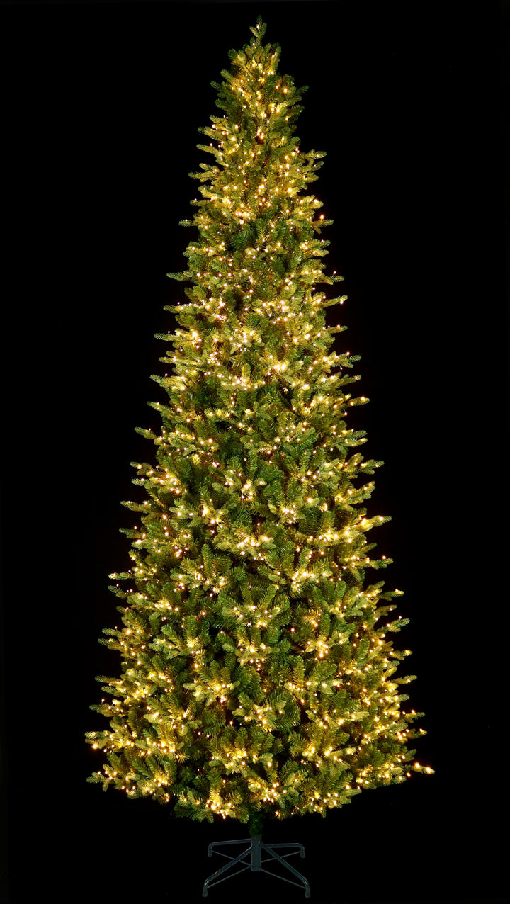 12' Alberta Slim Pre-Lit LED Artificial Christmas Tree, showing clear lights on, black background.