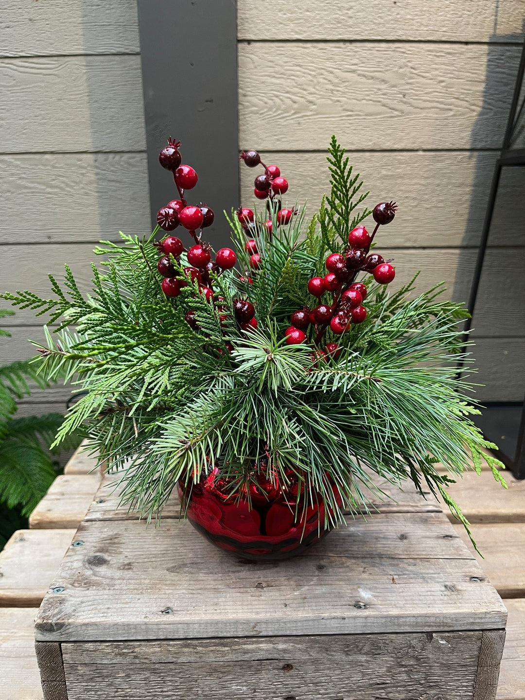 Christmas Cheer 2025