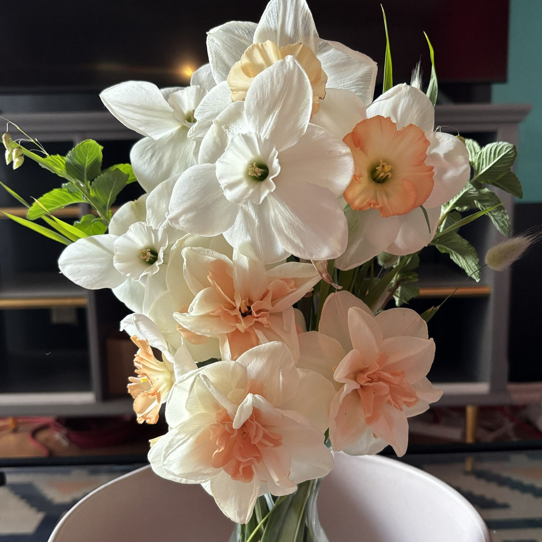 Fall Bulbs for Cut Flowers - Friday, Sept. 11 @ 6:30pm