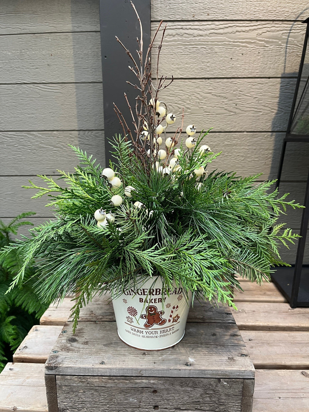 Gingerbread Man 2025