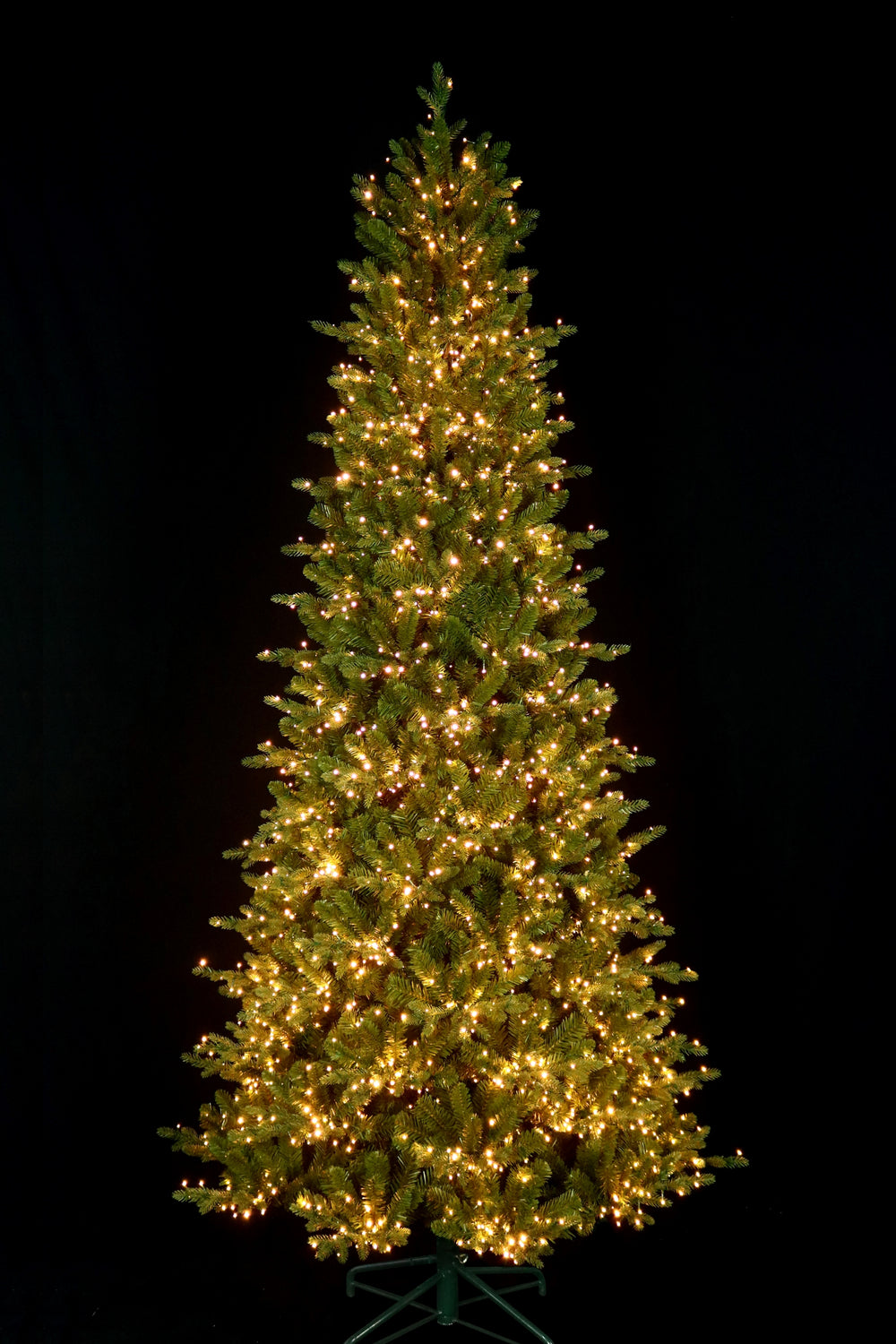 9' Alberta Slim Pre-Lit LED Artificial Christmas Tree, showing clear lights.