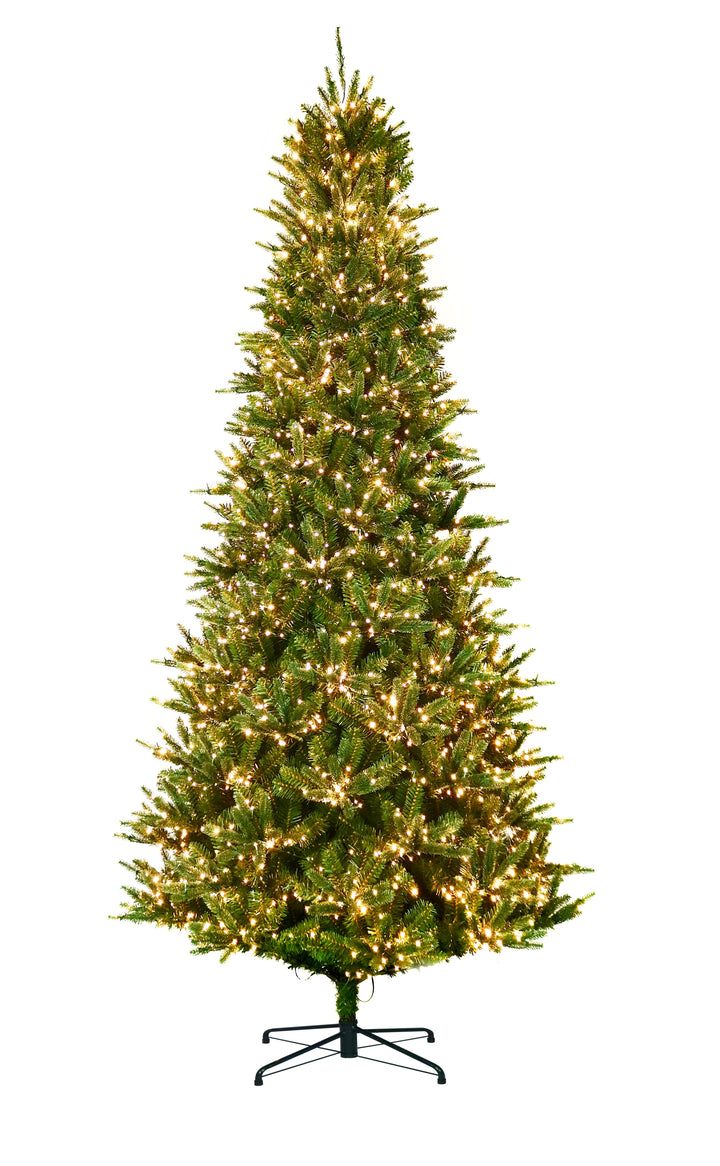 9' Fraser Pre-Lit Micro LED Christmas Tree