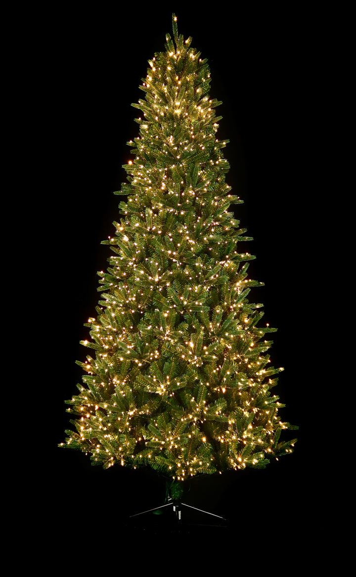9' Fraser Pre-Lit Micro LED Christmas Tree
