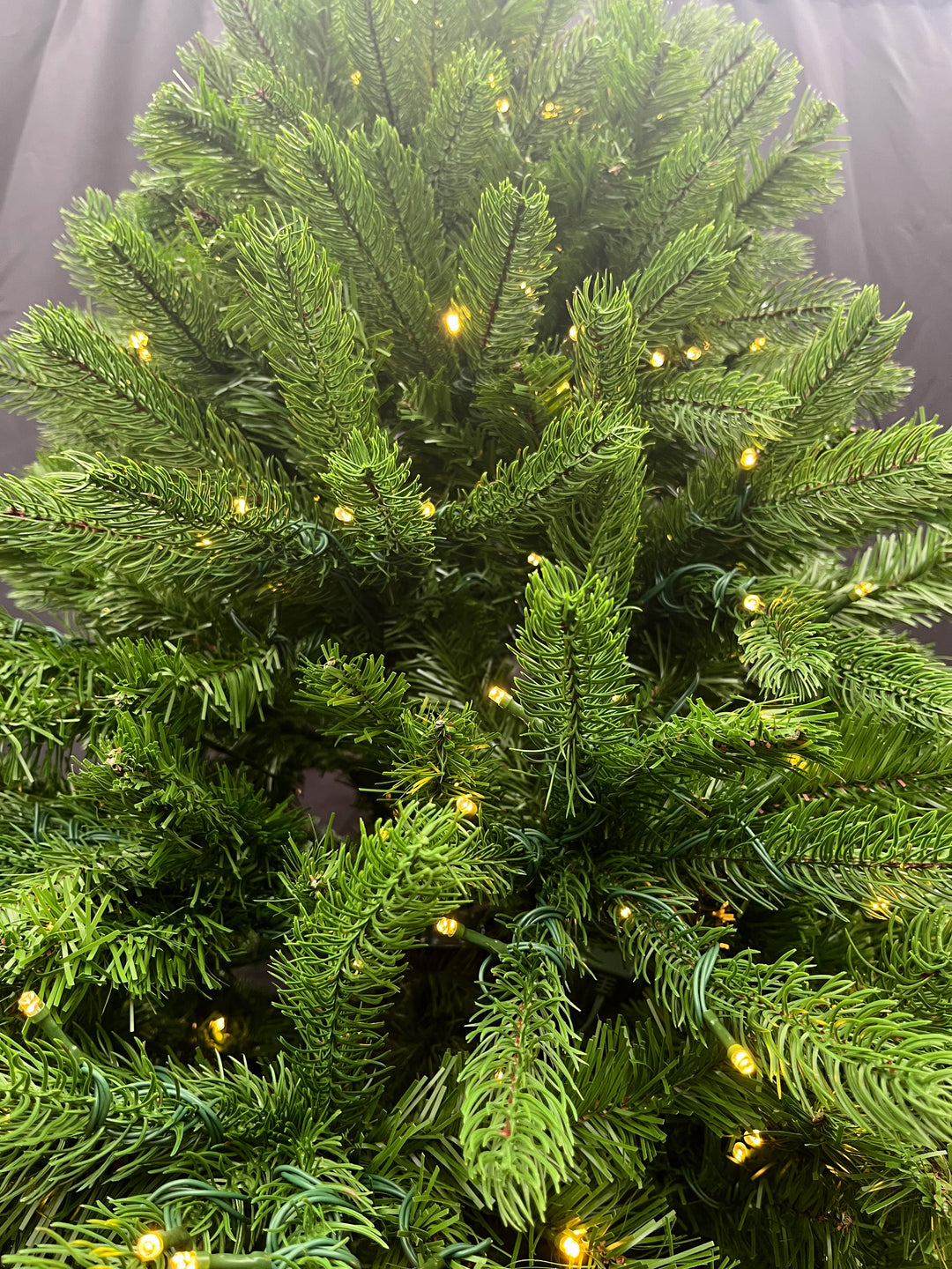 9' Trego Pine Micro LED Christmas Tree