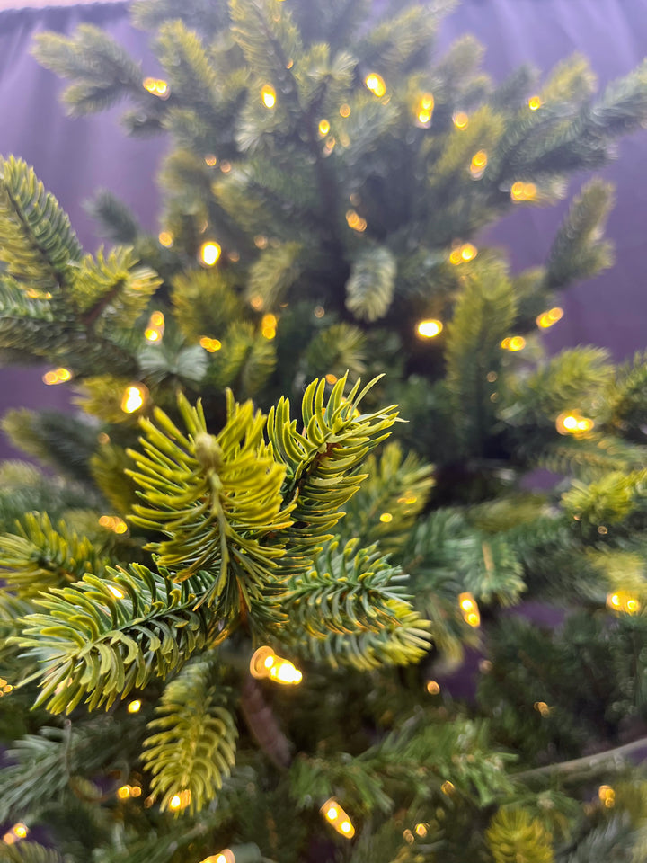 7.5' Layered Balsam Micro LED Christmas Tree