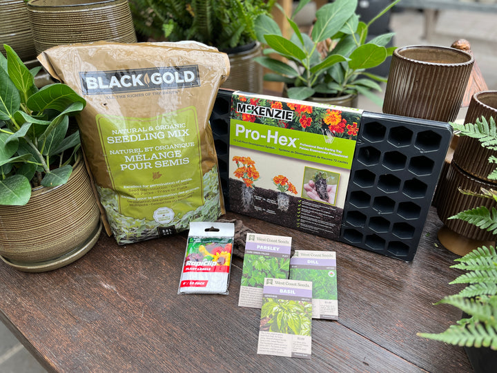 Complete Herb Seed Starting Kit