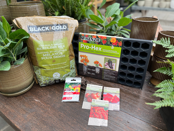 Complete Tomato Seed Starting Kit