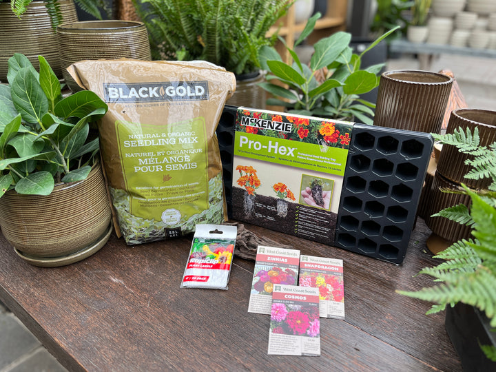 Complete Cut Flower Seed Starting Kit