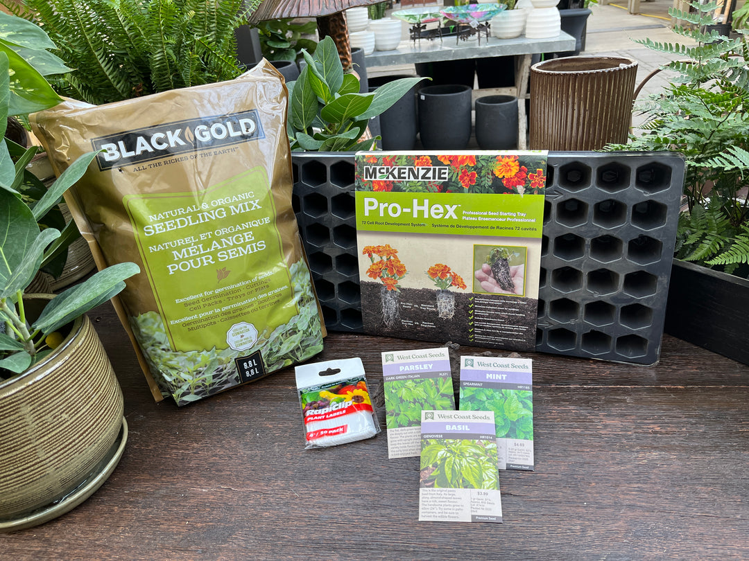Complete Herb Seed Starting Kit