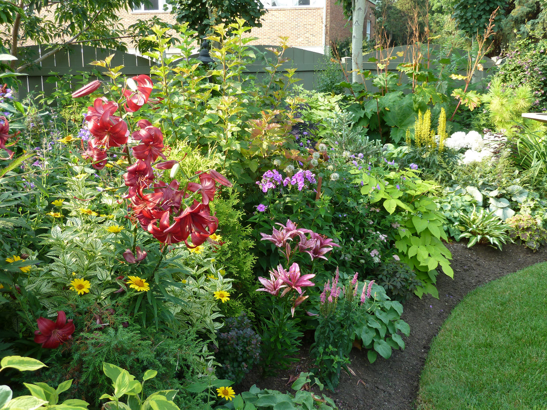 Tour & Learn: Perennials for All-Season Colour - Friday, June 26 @ 6:30pm