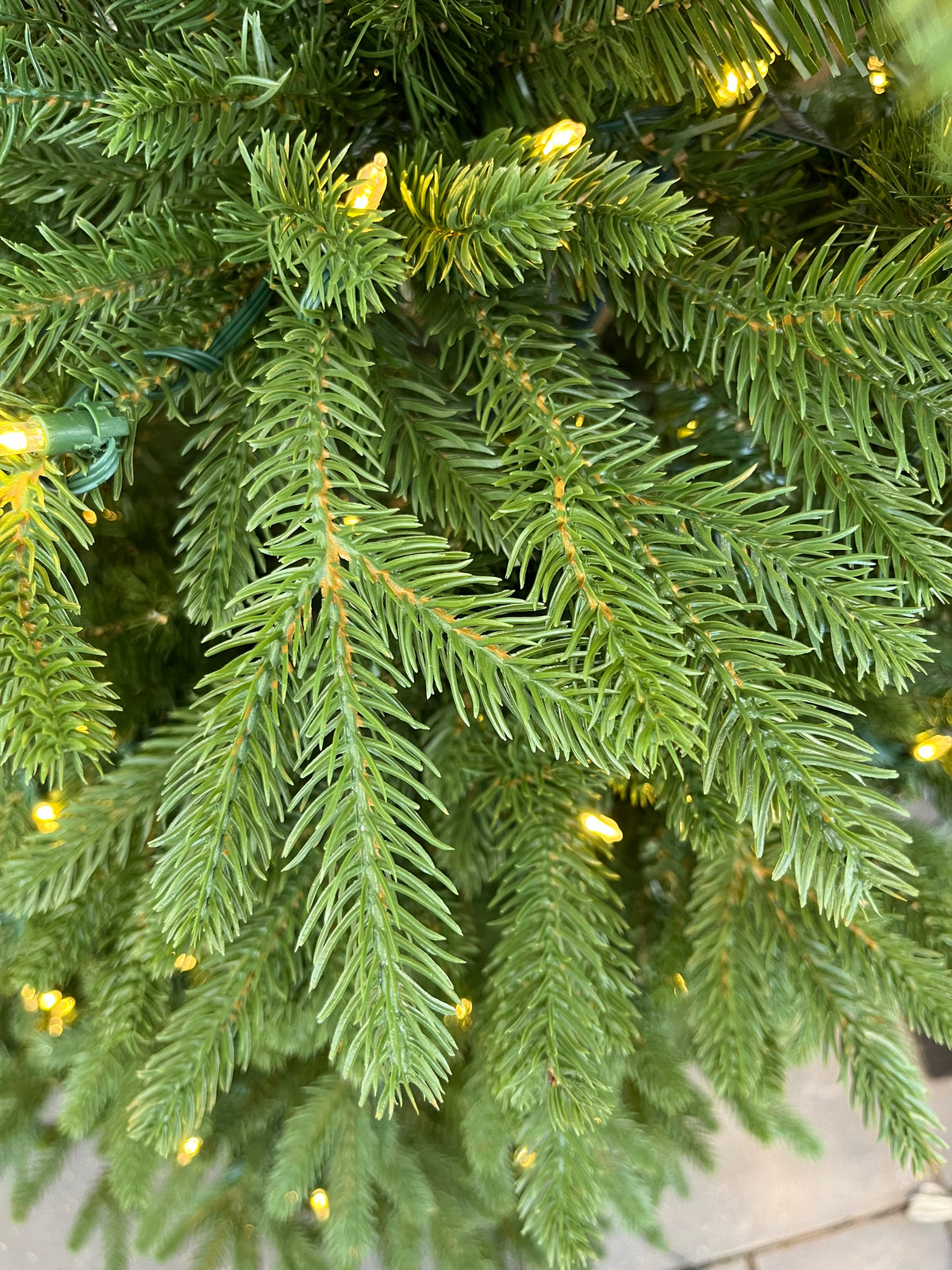 7.5' Crawford Slim Pre-Lit LED Artificial Christmas Tree, close-up of foliage with clear lights.