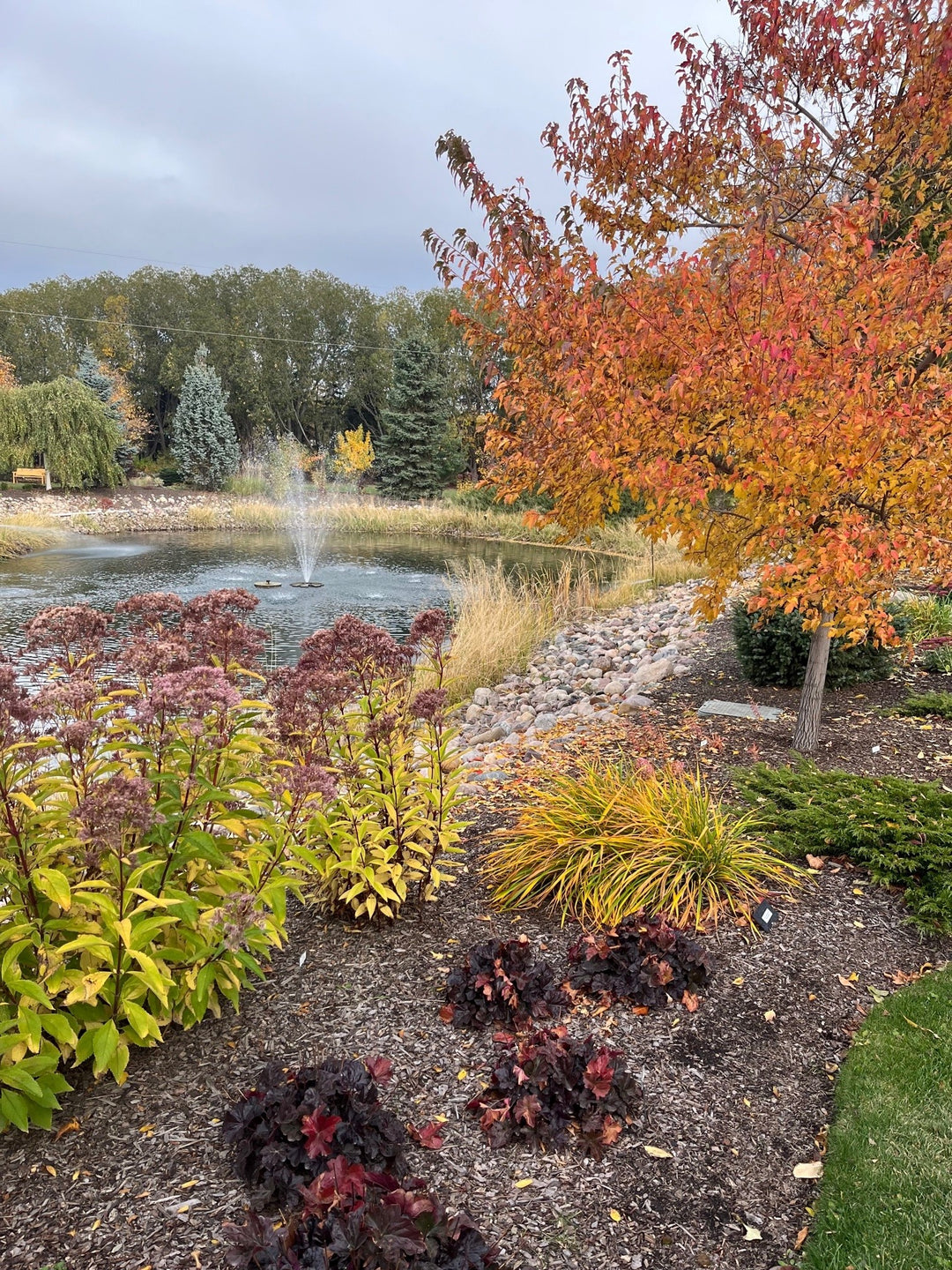 Fall Perennial Care - Saturday, September 19 @ 1:00pm