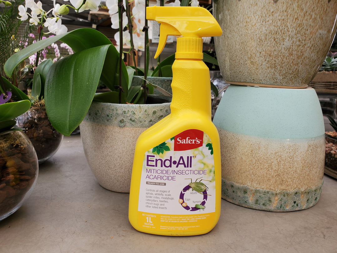 Safer's End-All Insecticide Spray RTU 1L