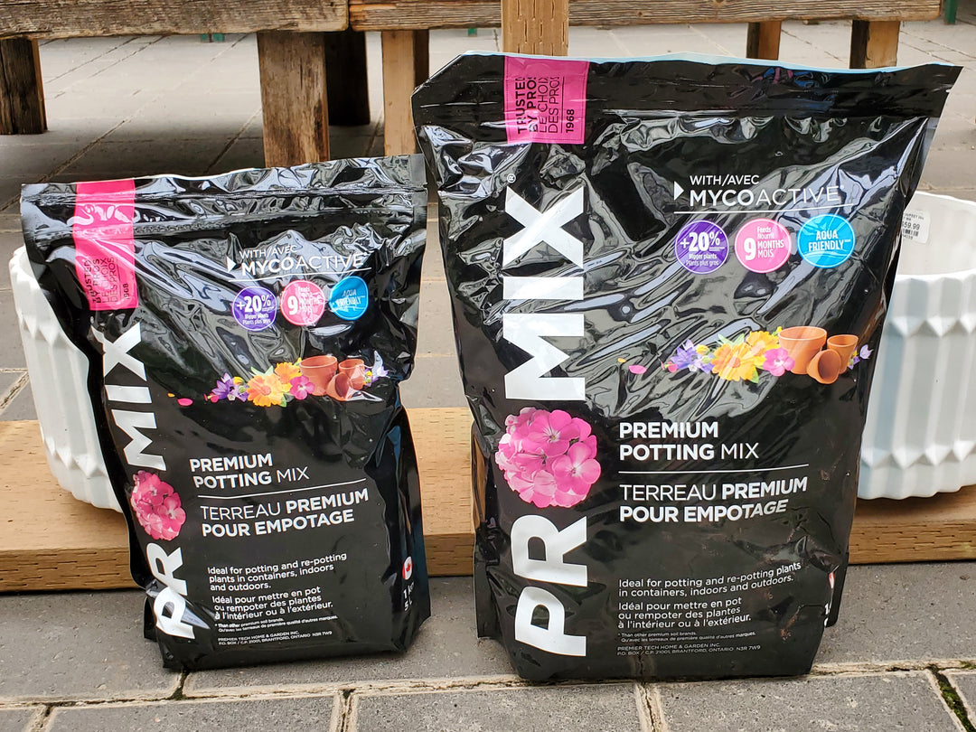 pro mix indoor potting soil Pro-Mix Premium Potting Mix