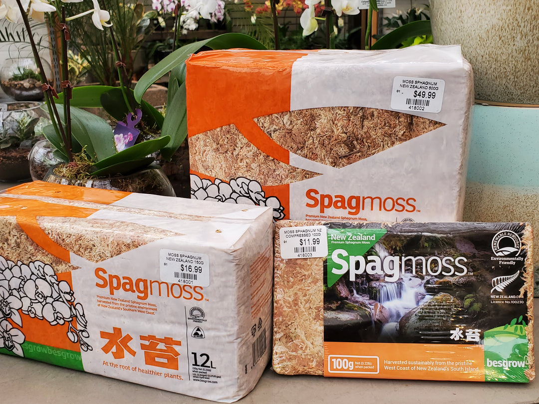 Spagmoss New Zealand Sphagnum Moss