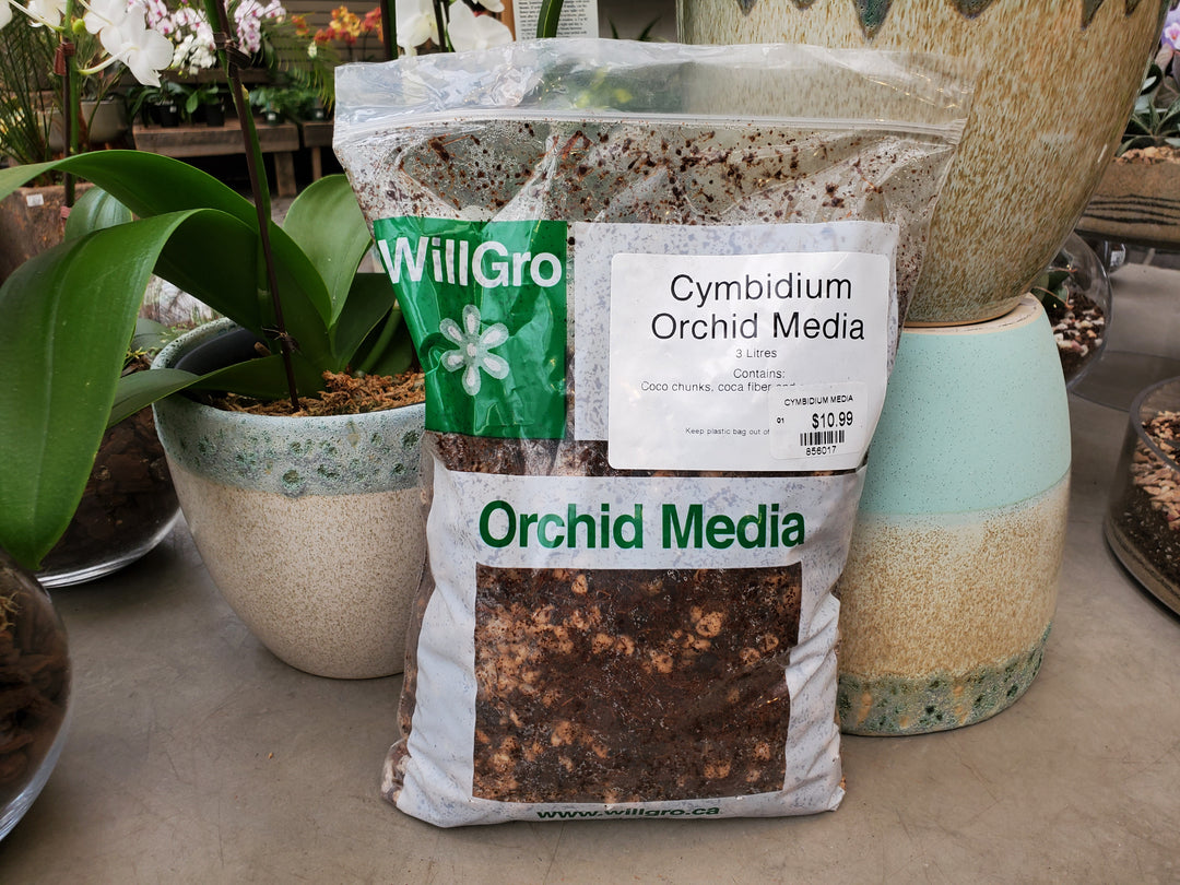 cymbidium orchid potting mix Willgro Cymbidium Orchid Media 3L – Greenland Garden Centre