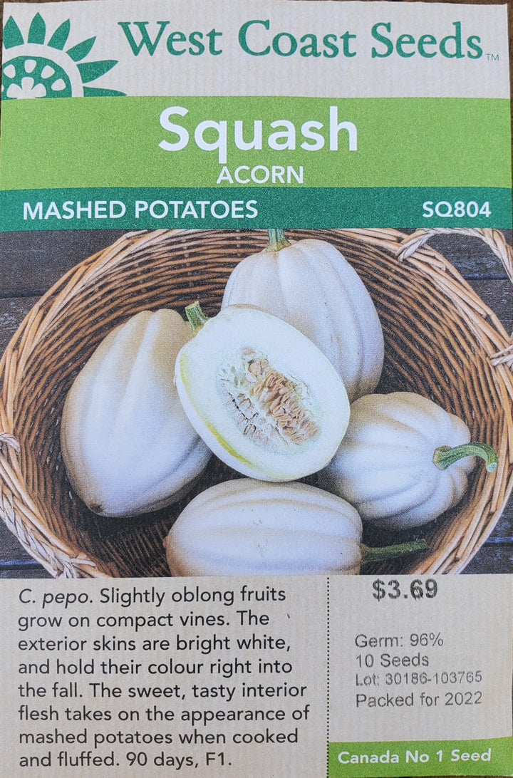 Acorn Squash Seeds - Mashed Potatoes