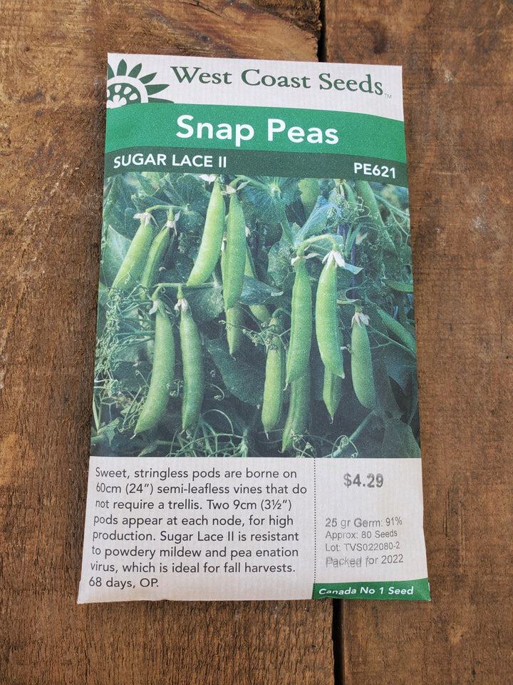 Snap Pea Seeds - Sugar Lace II