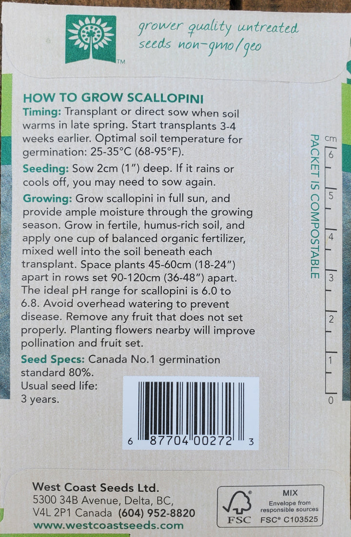 Scallopini Squash Seeds - Sunburst
