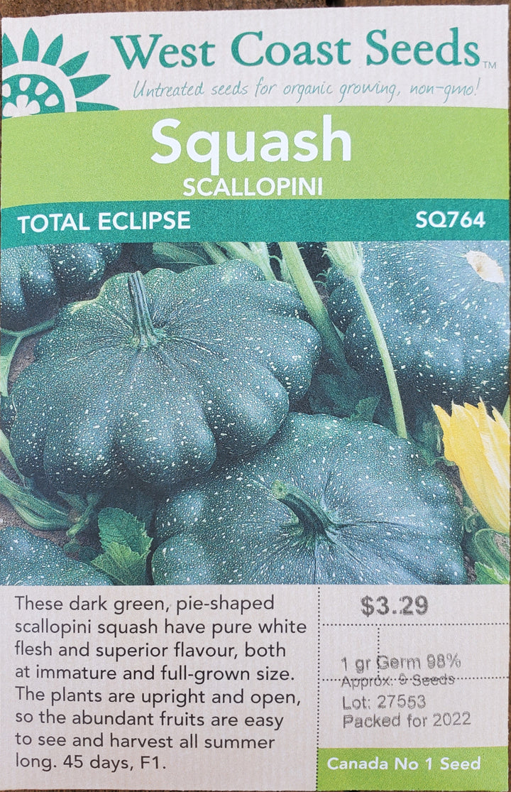 Scallopini Squash Seeds - Total Eclipse