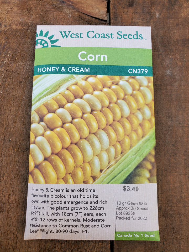 Corn Seeds - Honey & Cream