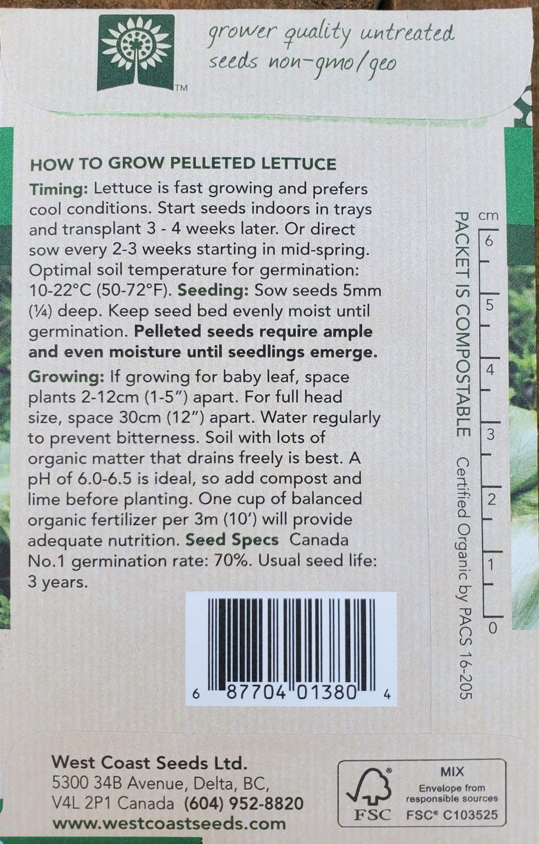 Organic Iceberg Lettuce Seeds - Dillon