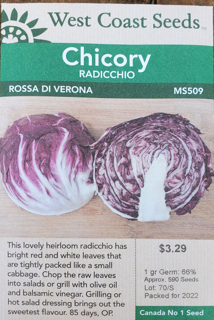 Radicchio Chicory Seeds - Rossa di Verona