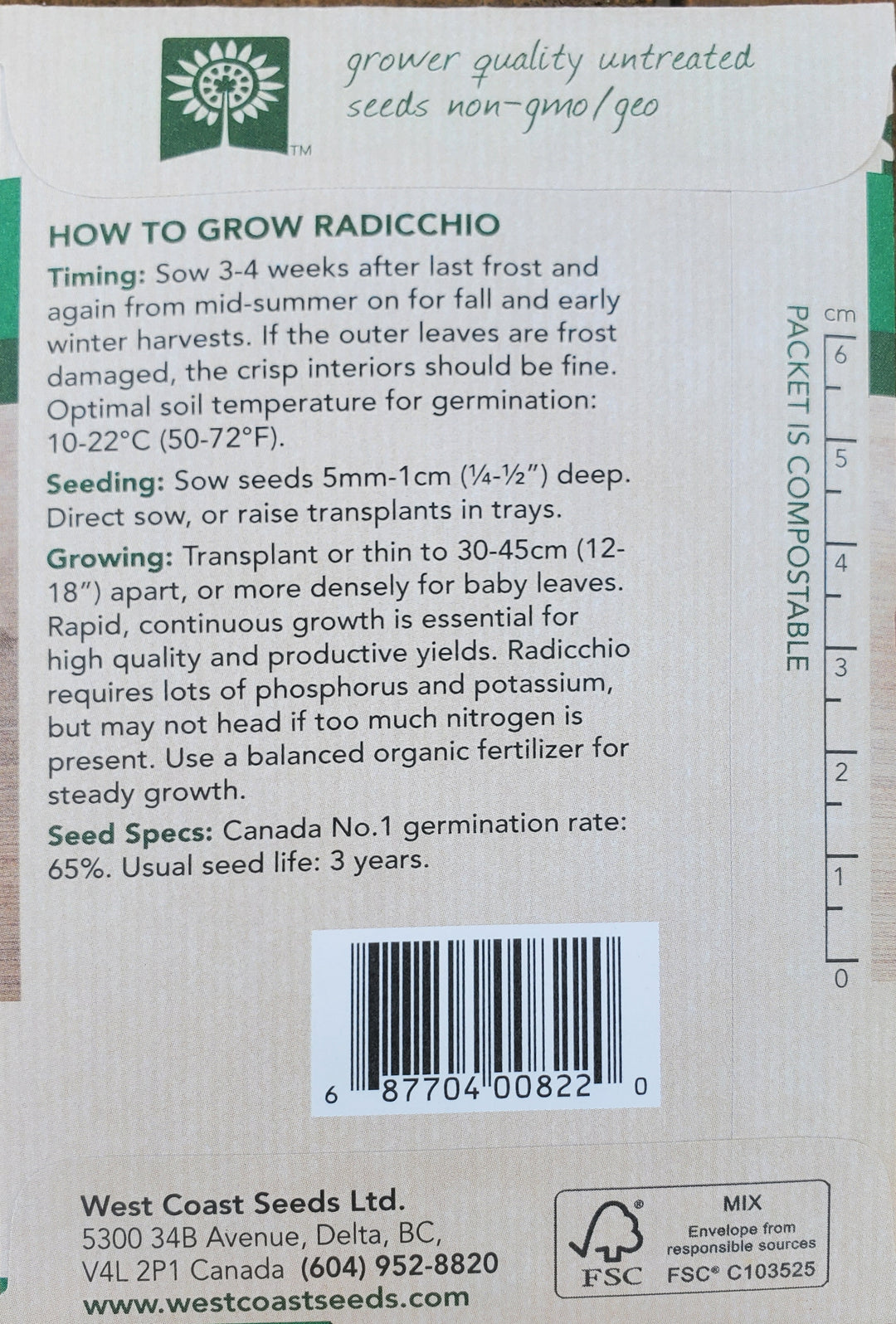 Radicchio Chicory Seeds - Rossa di Verona