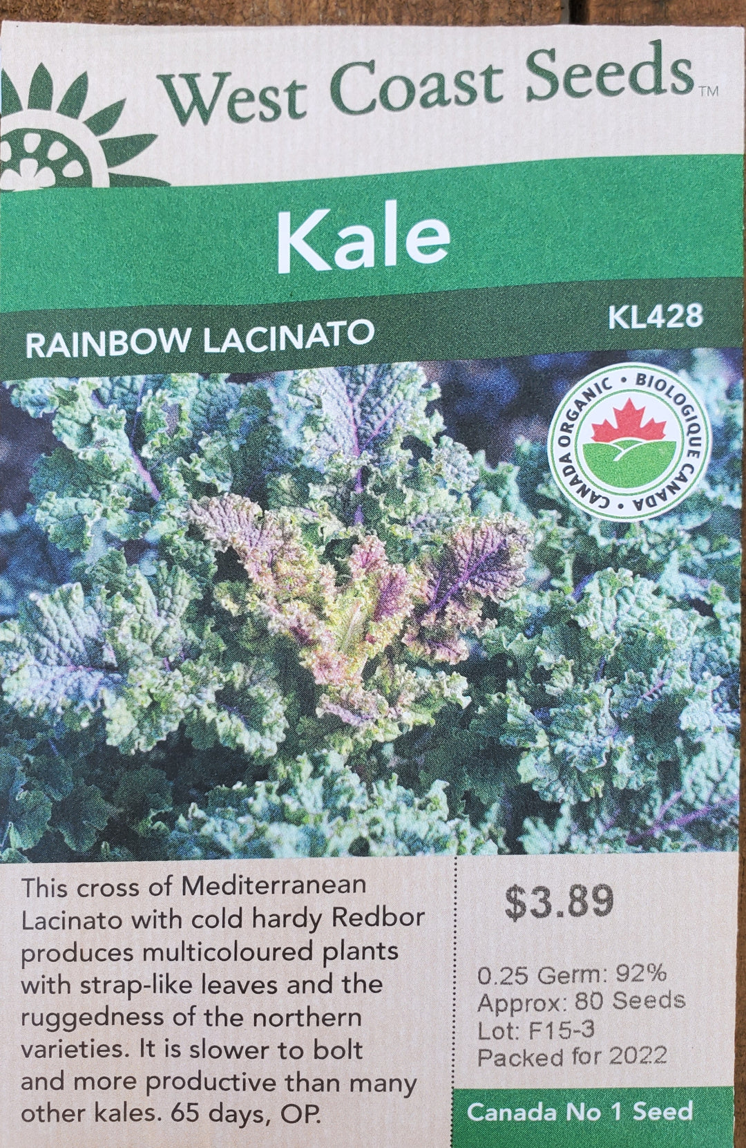 Organic Kale Seeds - Rainbow Lacinato