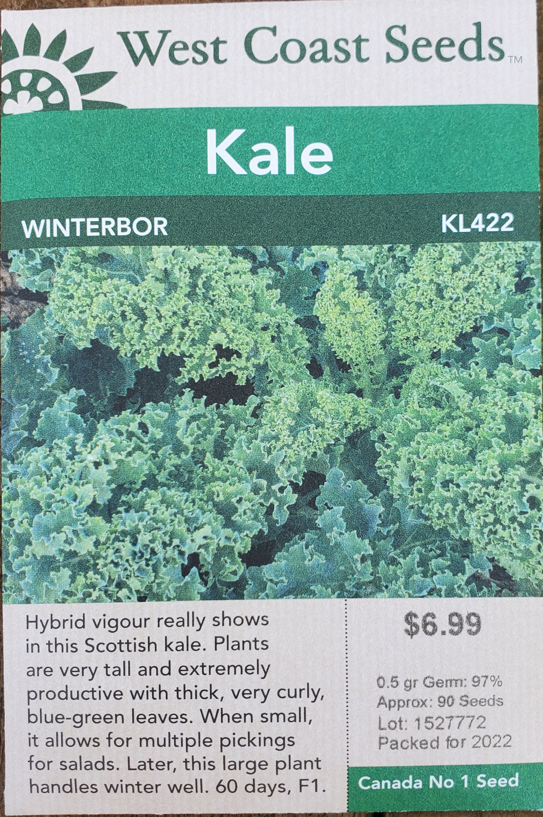 Kale Seeds - Winterbor