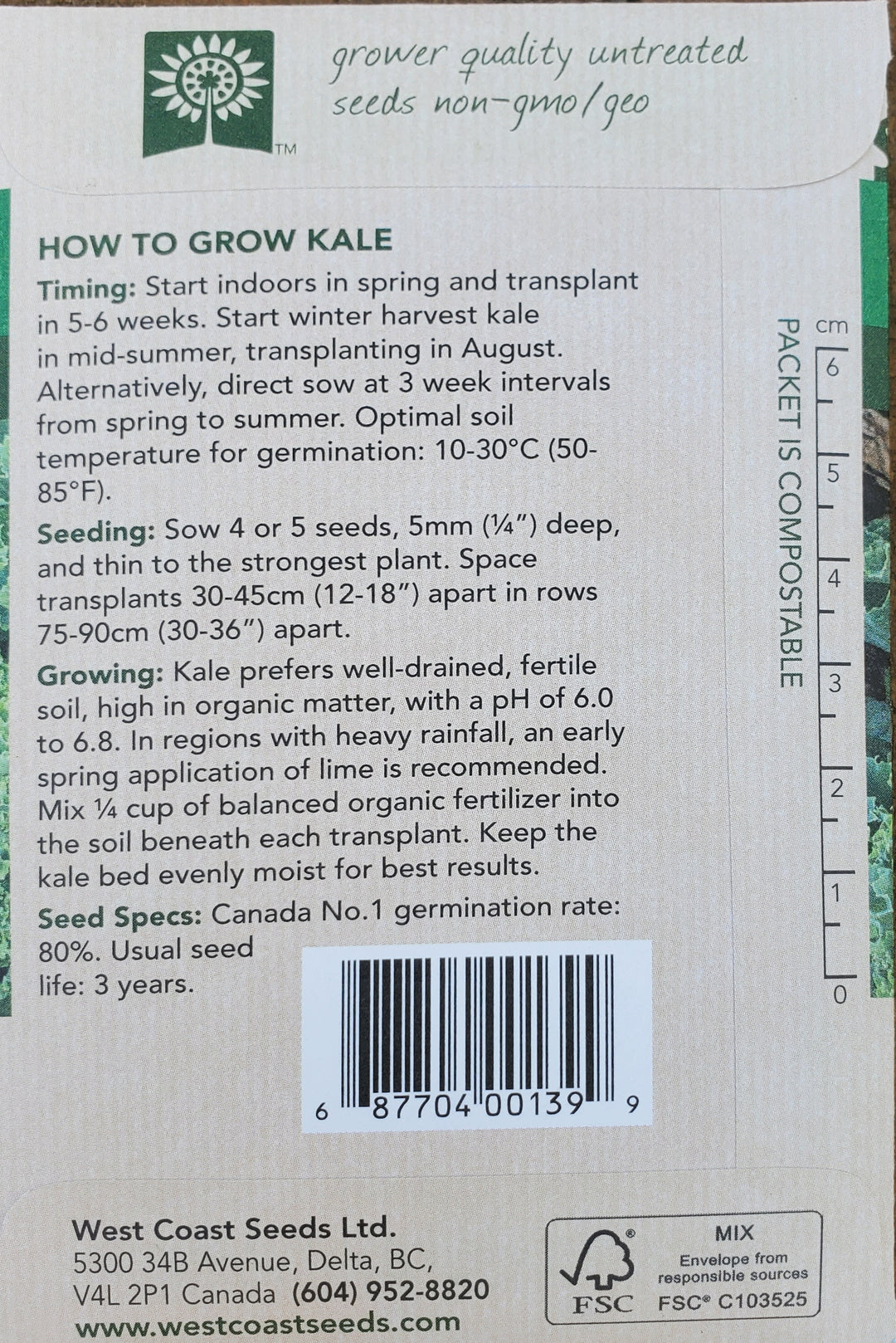 Kale Seeds - Winterbor