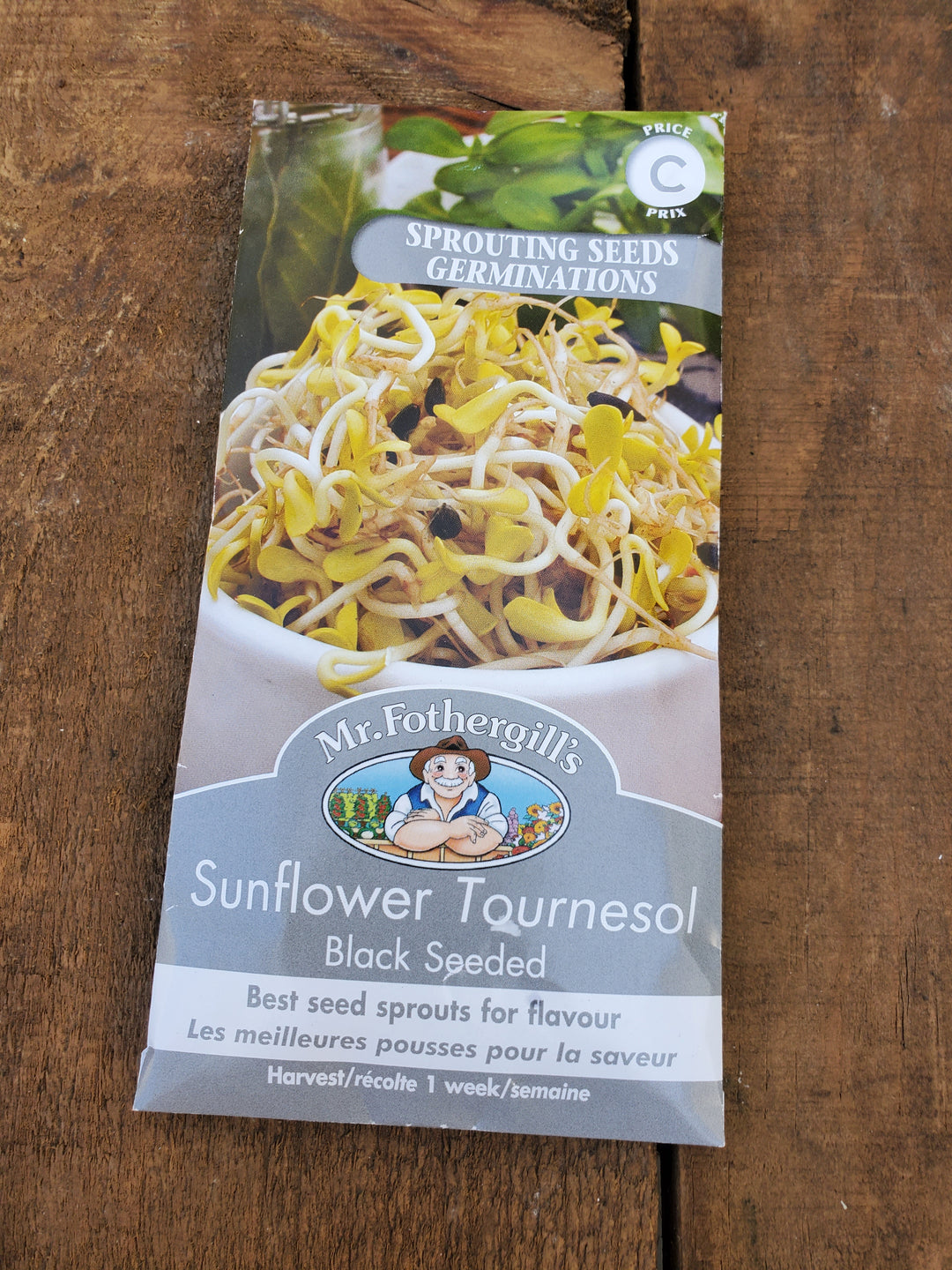 Sprouting Seeds - Black Seeded Sunflower