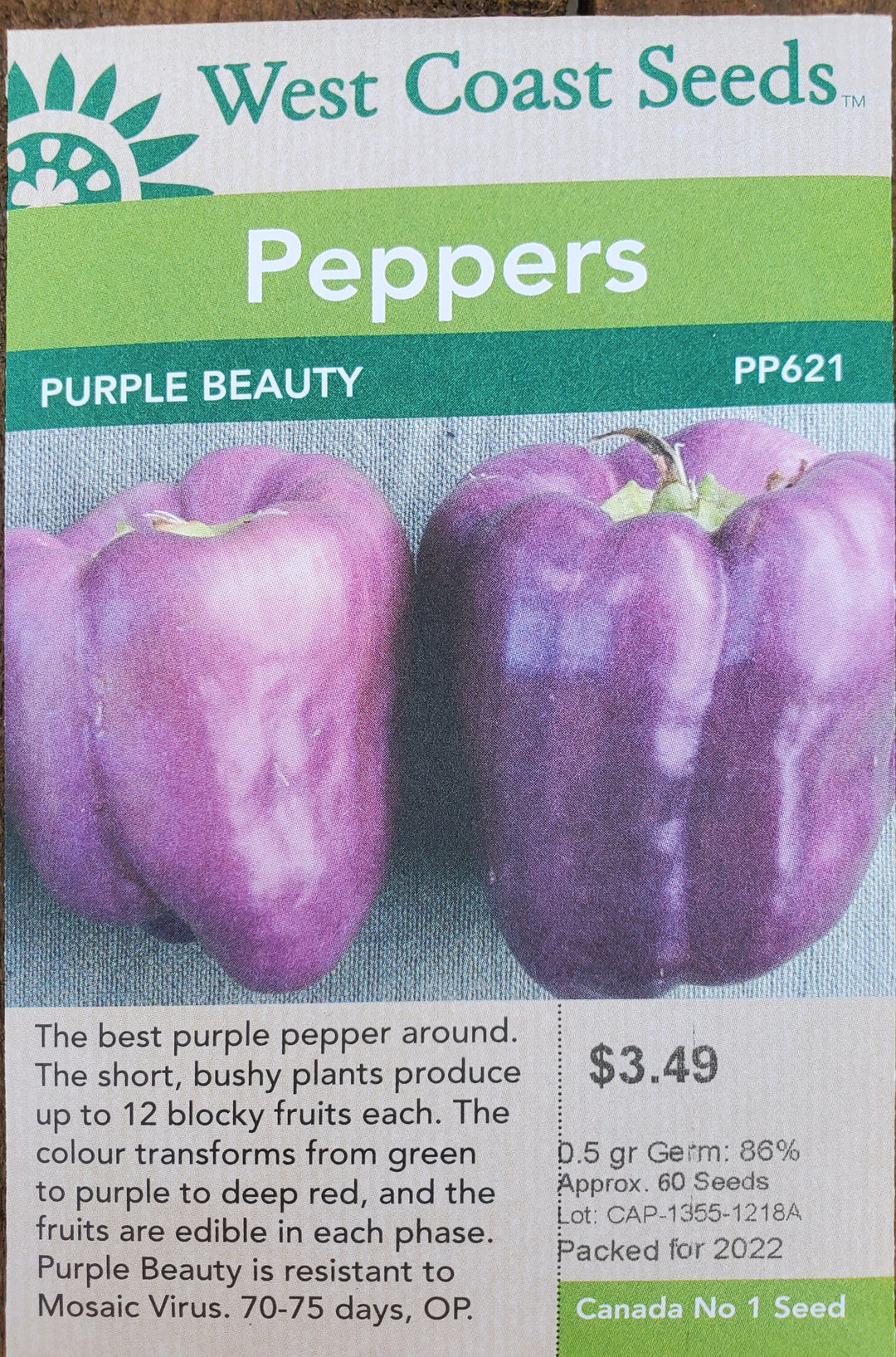 Pepper Seeds - Purple Beauty