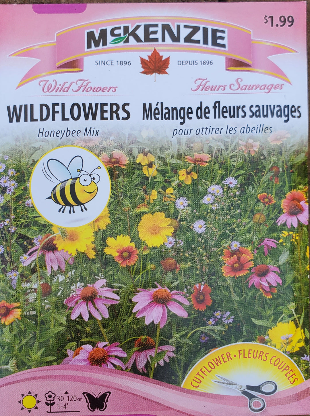 Wildflower Seeds - Honeybee Mix