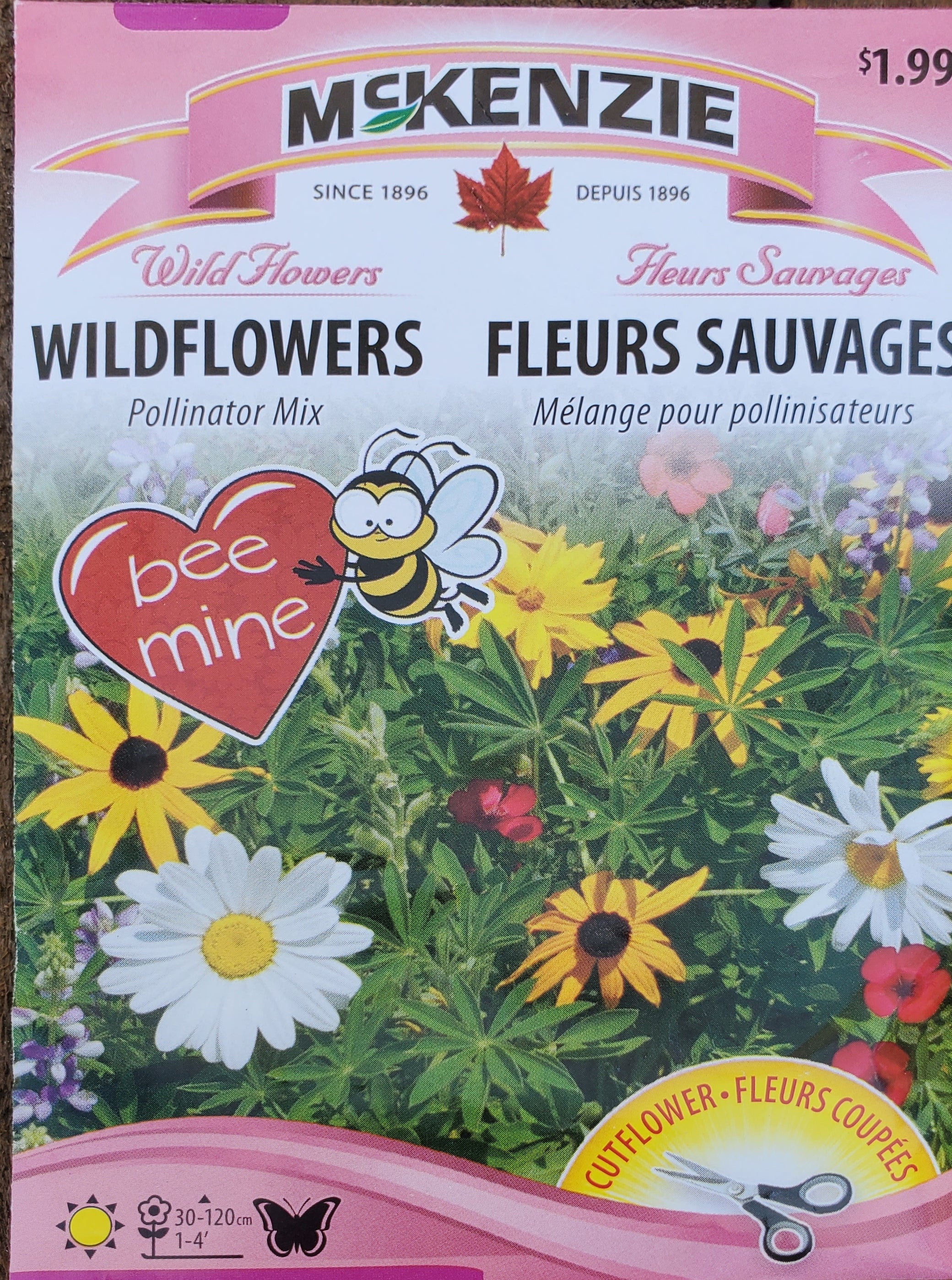 Wildflower Seeds - Pollinator Mix – Greenland Garden Centre