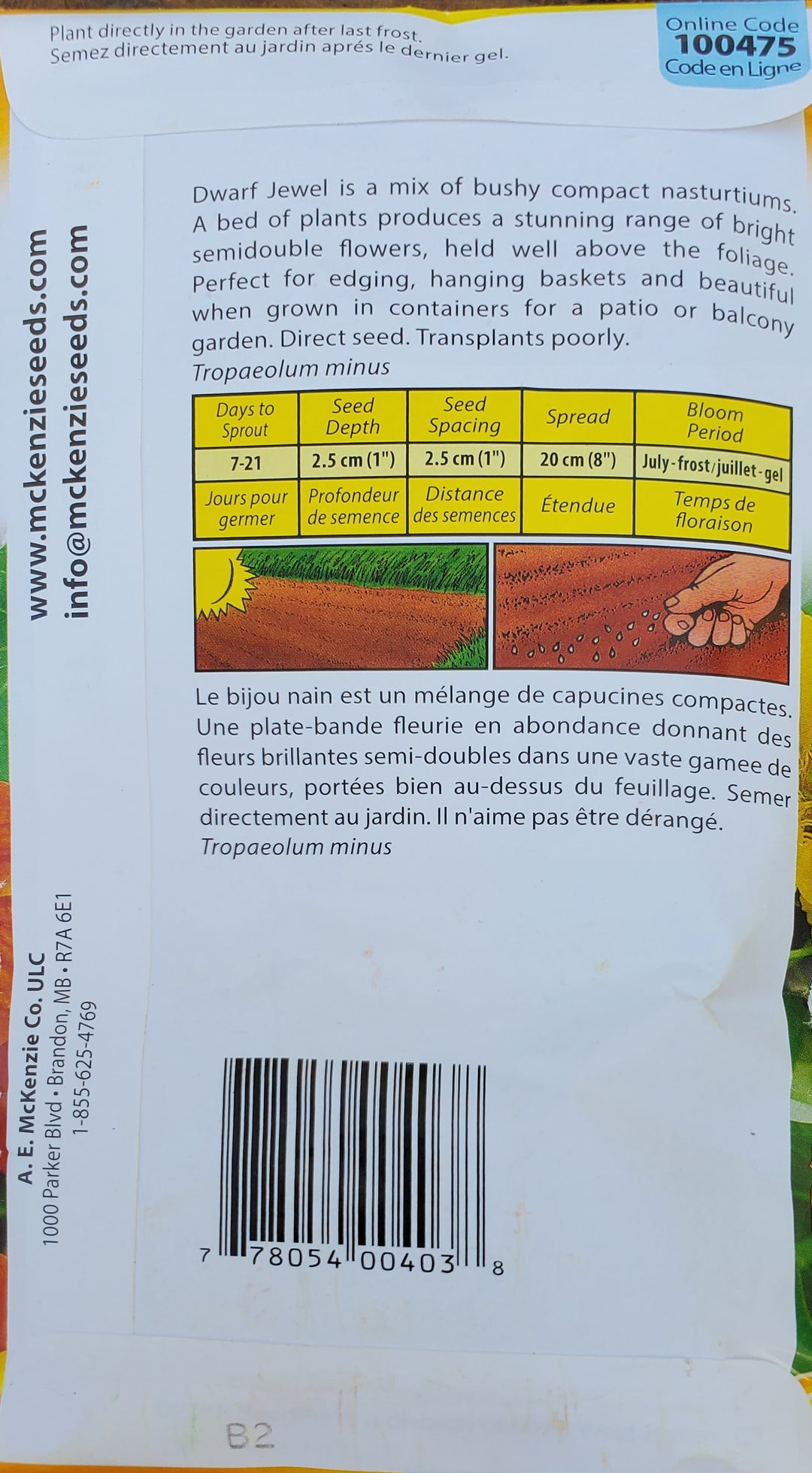 Nasturtium Seeds - Jewel Mix