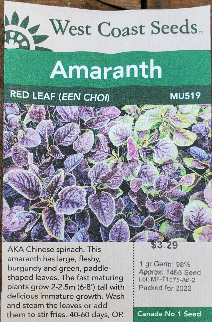 Amaranth Seeds - Red Leaf