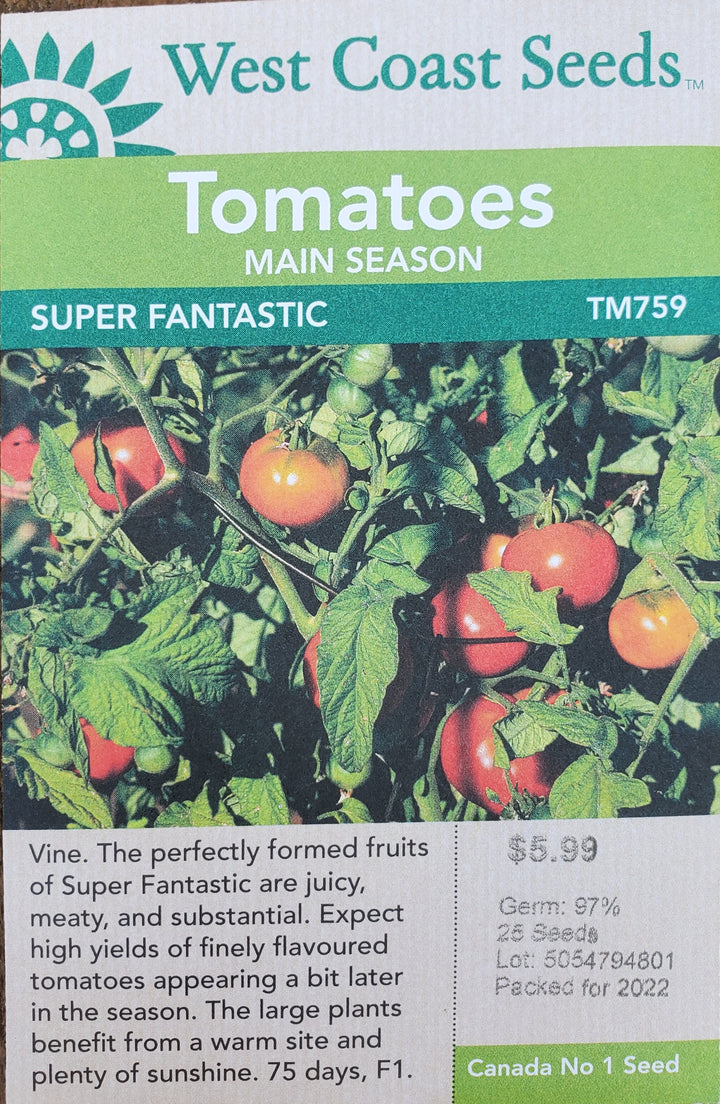 Tomato Seeds - Super Fantastic