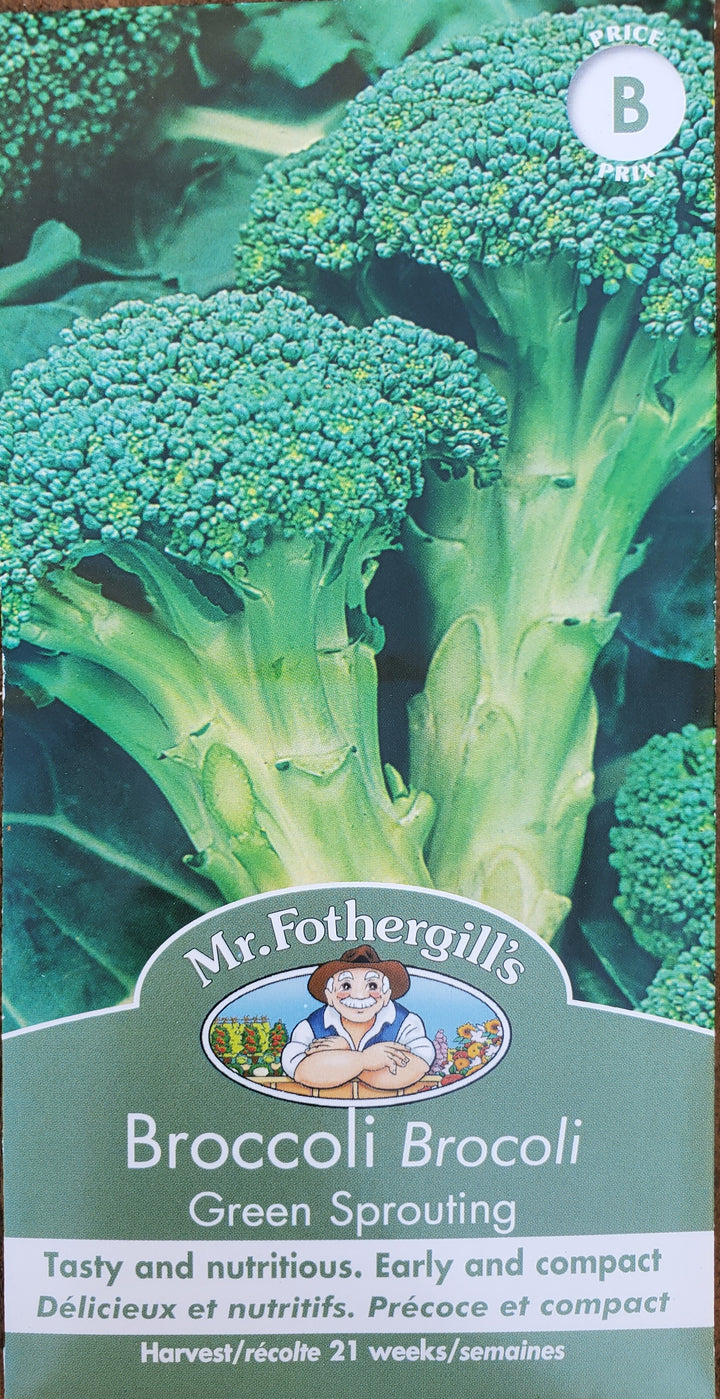 Broccoli Seeds - Green Sprouting
