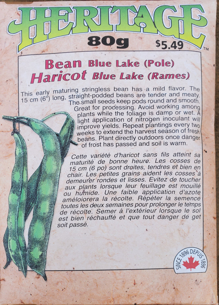 Pole Bean Seeds - Blue Lake