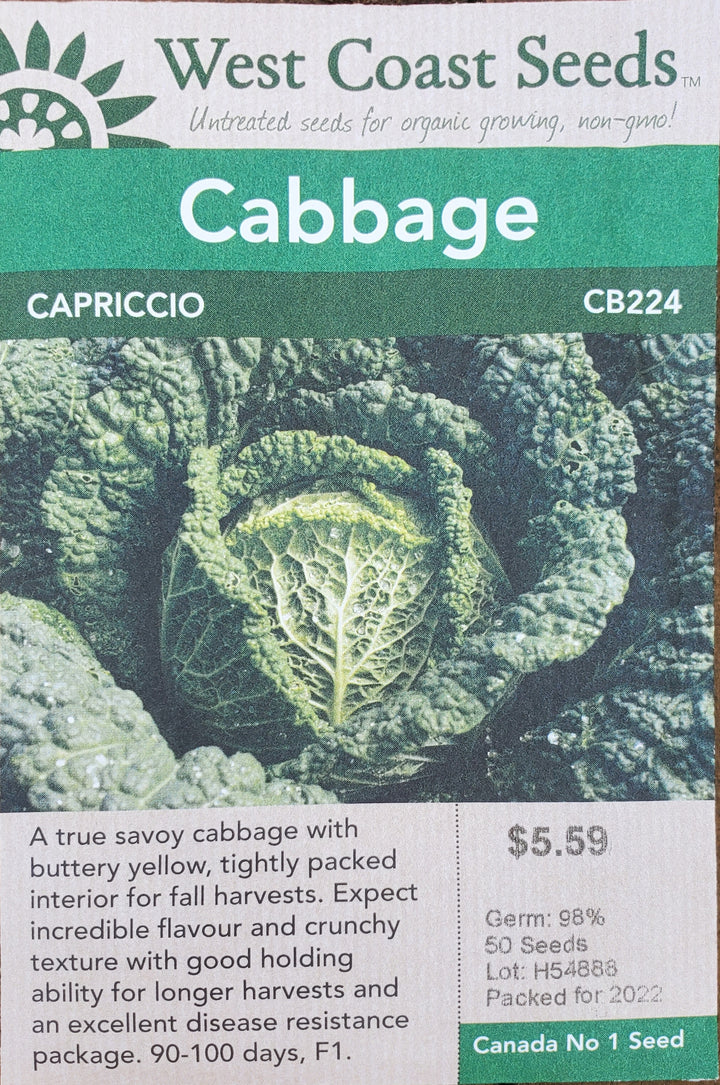 Cabbage Seeds - Capriccio