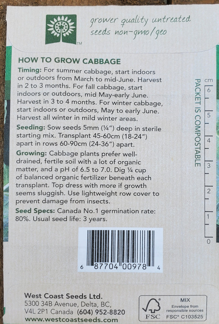 Cabbage Seeds - Tiara