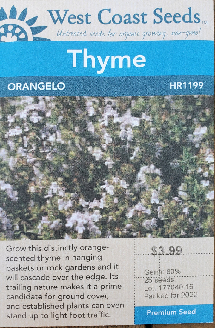 Thyme Seeds - Orangelo