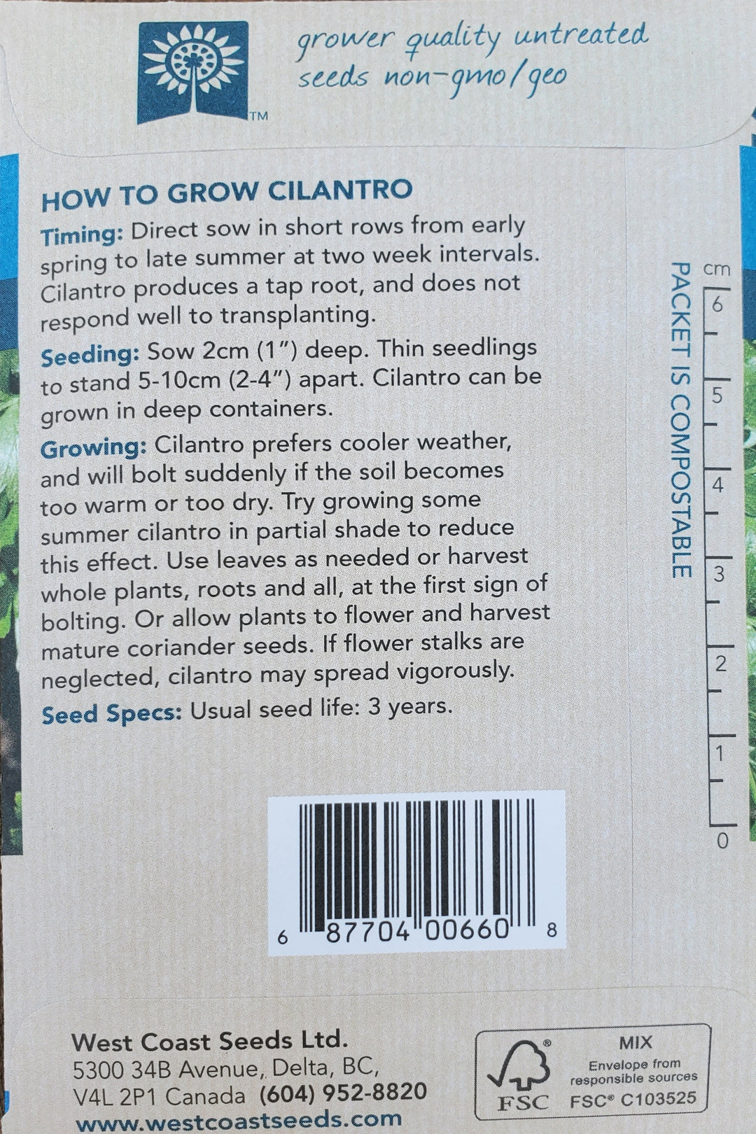 Cilantro Seeds - Santo Monogerm