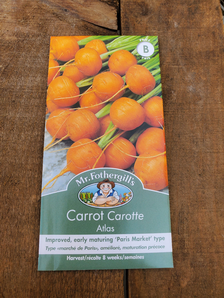 Carrot Seeds - Atlas