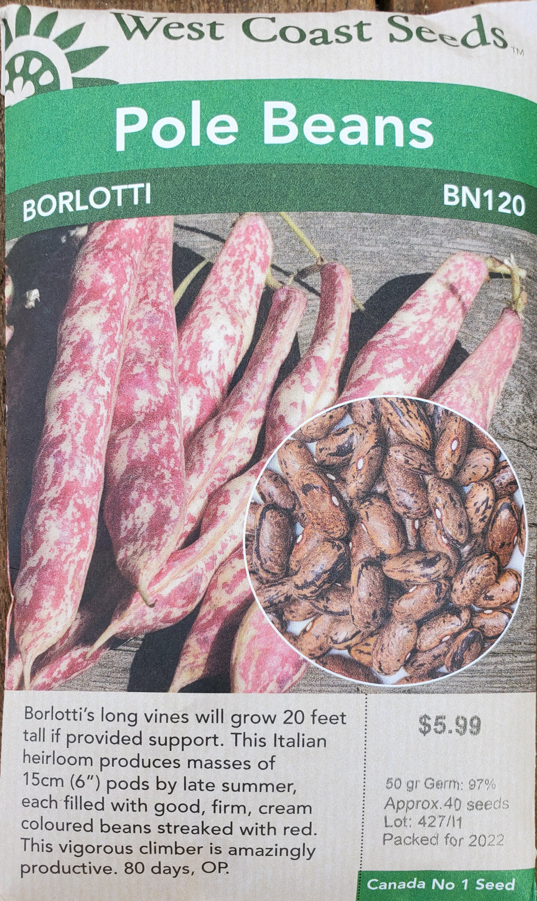 Pole Bean Seeds - Borlotti