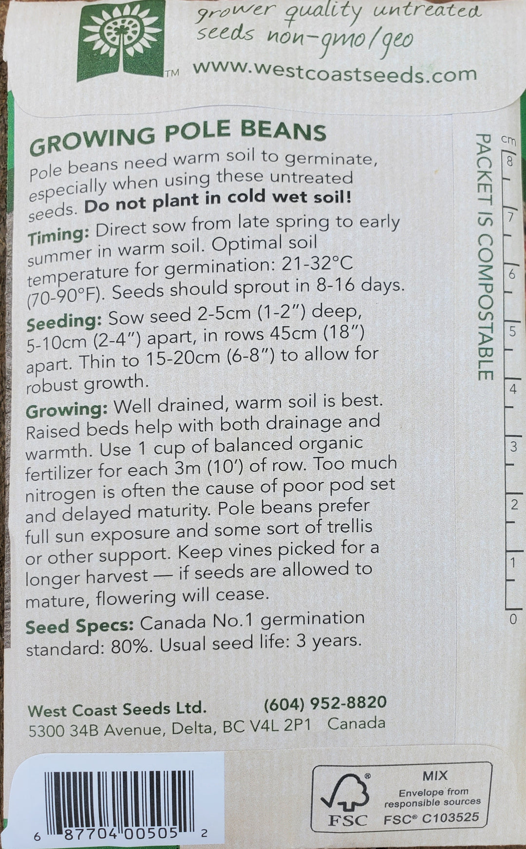 Pole Bean Seeds - Borlotti