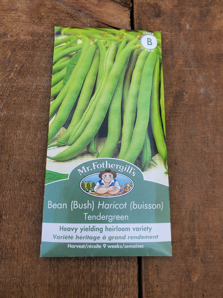 Bush Bean Seeds - Tendergreen