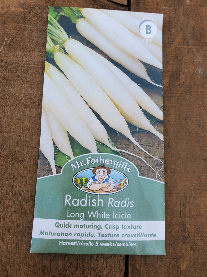 Radish Seeds - Long White Icicle